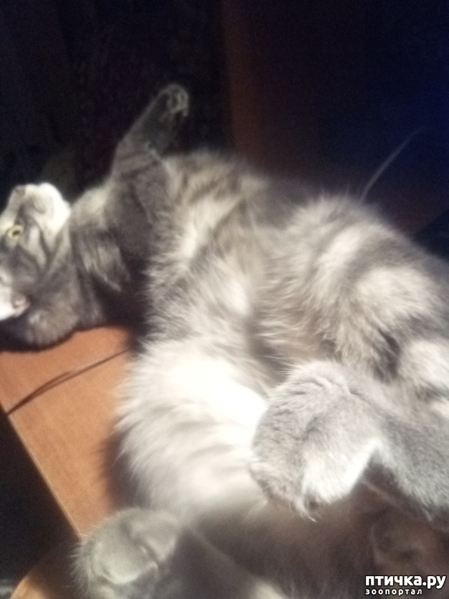 ���� 1: ����� �������