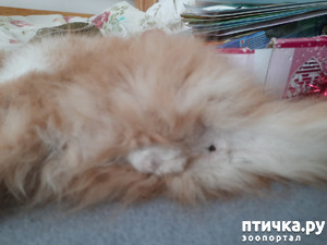 ����: ���������� ��� �������