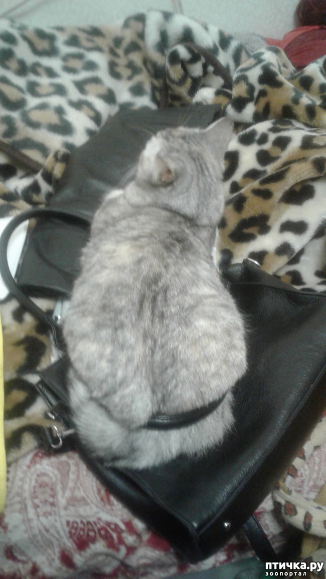 ���� 1: ��������, ��� ��� ����!