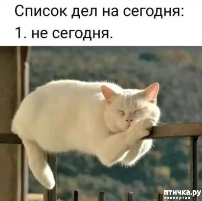 ���� 1: ������� �����