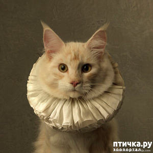 ����: ��� ����u� �� ������ ����? ���� ��� �����, �� ����������. ���� � ��� �������. ��� ������ ��������� �����? ��� ��� �������, ���� � �������.