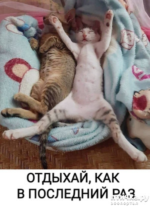 ����: �����, �������!!!?