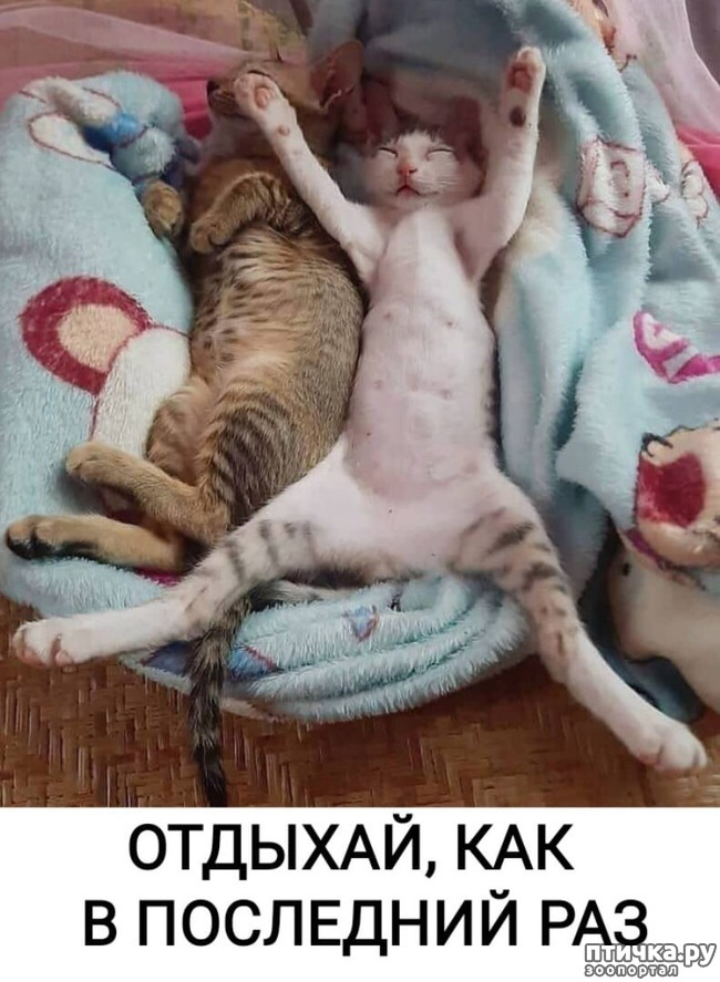 ���� 1: �����, �������!!!?