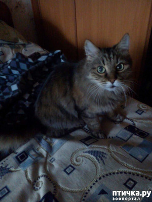 ����: ������ �������