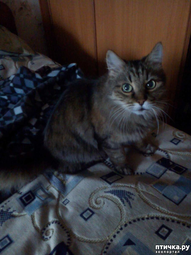 ���� 1: ������ �������