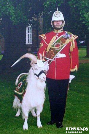 ���� 2: �� �������� ��������� :-)