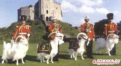 ���� 3: �� �������� ��������� :-)