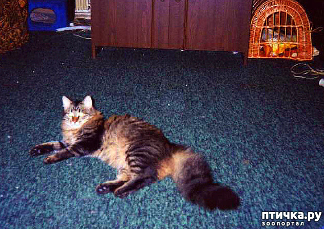 ���� 3: ������ �������