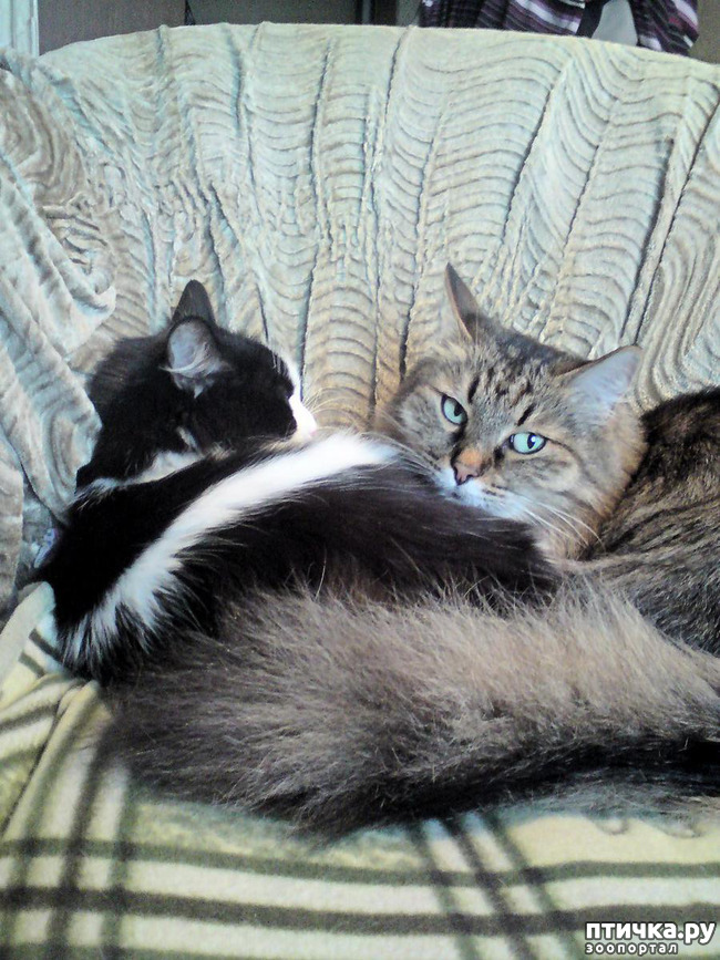 ���� 4: ������ �������