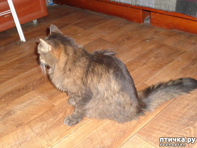 ���� 5: ������ �������