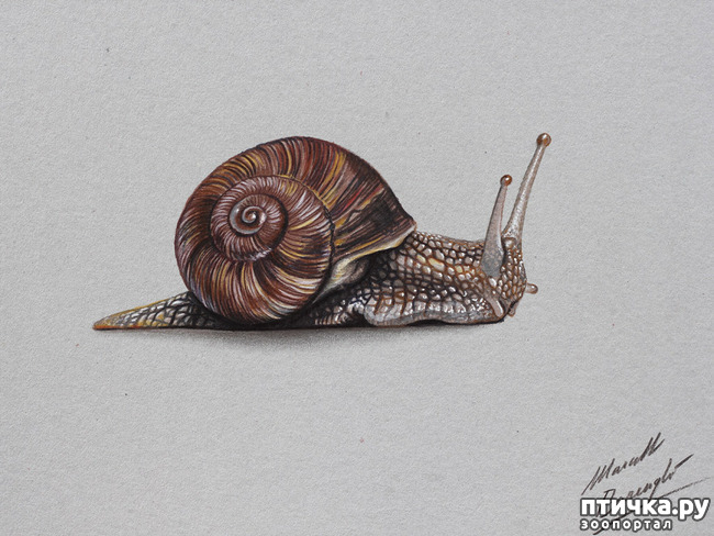 ���� 2: �������� �������, ����������� �����������