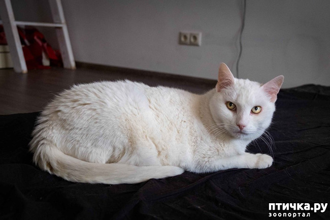 ���� 3: ������ ���� ���� ��������� �����!