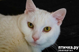 ����: ������ ���� ���� ��������� �����!