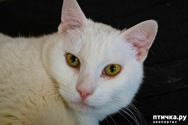 ���� 1: ������ ���� ���� ��������� �����!