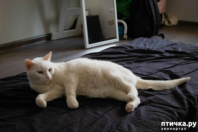 ���� 4: ������ ���� ���� ��������� �����!