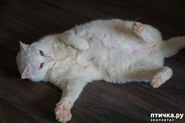 ���� 2: ������ ���� ���� ��������� �����!