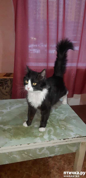 ����: ��� � ������ ����