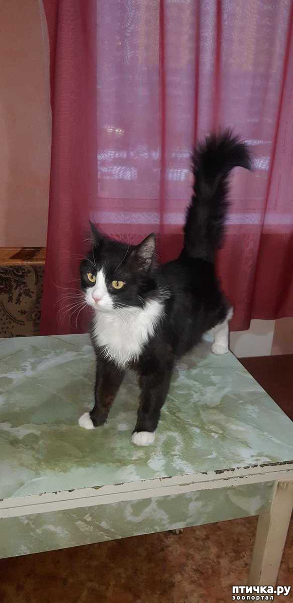 ���� 1: ��� � ������ ����