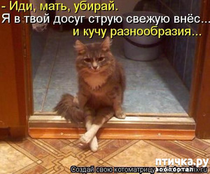 ����: ���������� �������