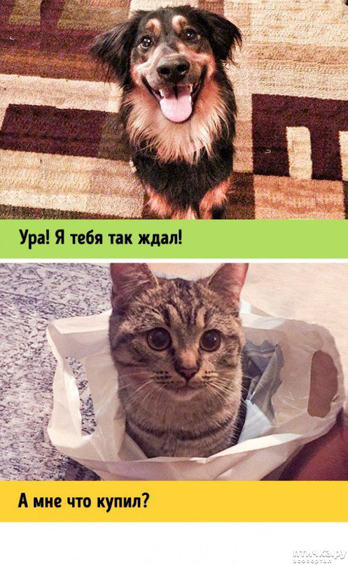 ���� 2: ����� � ������ ( � ��������� )