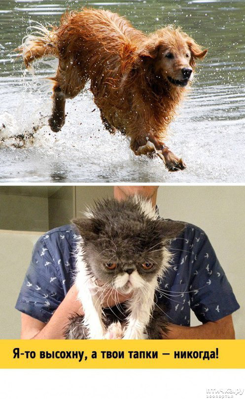 ���� 3: ����� � ������ ( � ��������� )