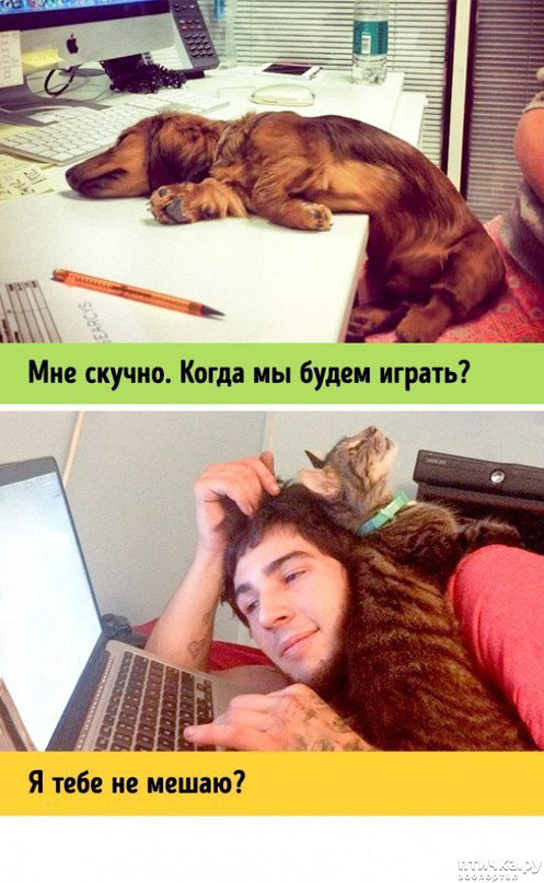 ���� 4: ����� � ������ ( � ��������� )