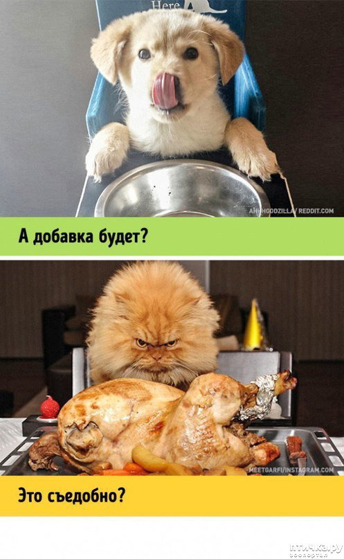 ���� 5: ����� � ������ ( � ��������� )