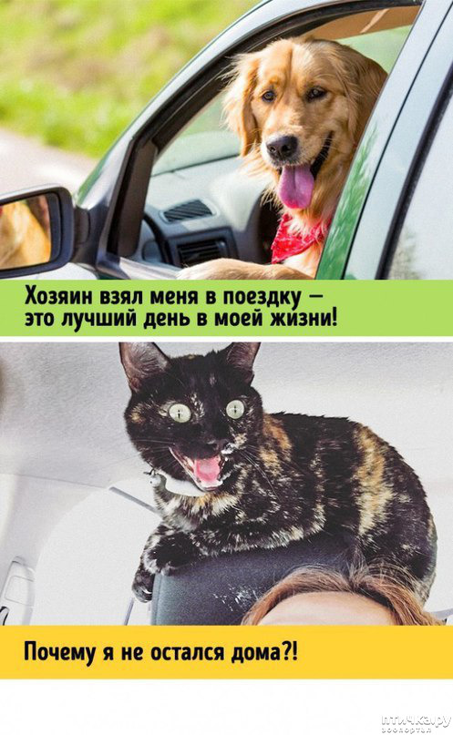 ���� 7: ����� � ������ ( � ��������� )