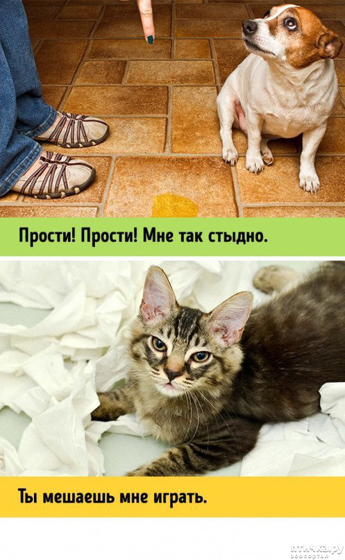 ���� 8: ����� � ������ ( � ��������� )