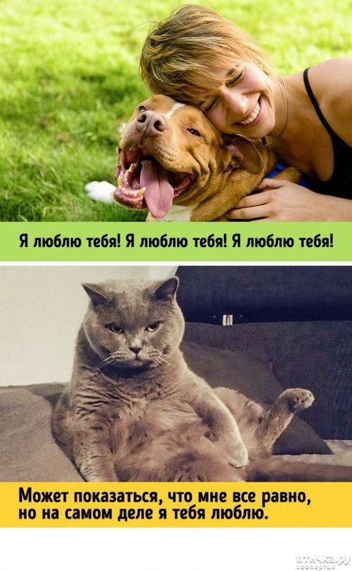 ���� 9: ����� � ������ ( � ��������� )