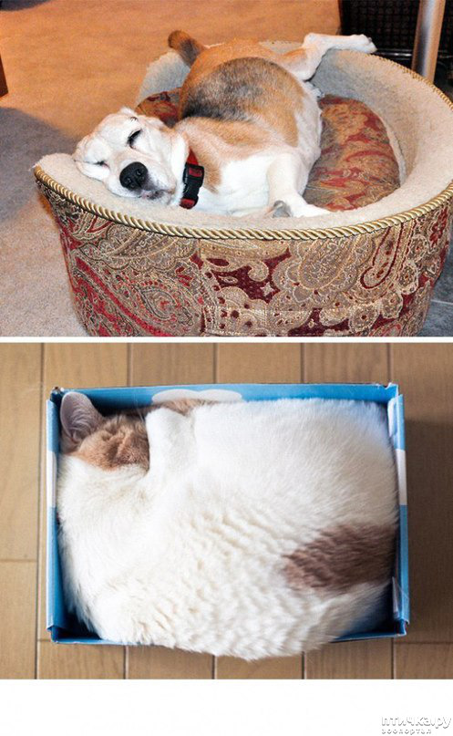 ���� 10: ����� � ������ ( � ��������� )