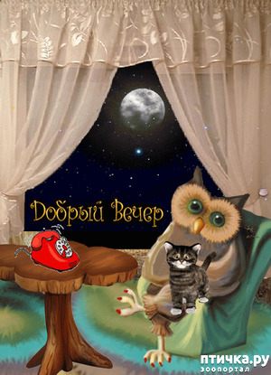 ����: ����� � ������ ( � ��������� )