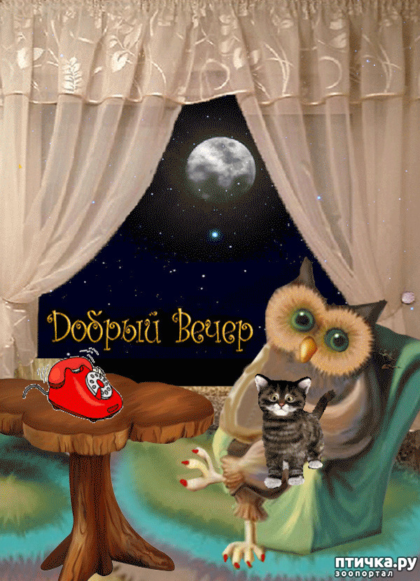 ���� 1: ����� � ������ ( � ��������� )