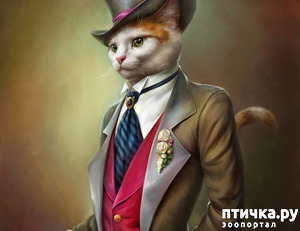 ����: ������ �������. ������� ����� � ������. ���� ��������