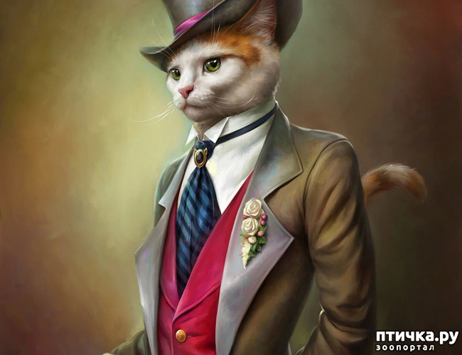 ���� 1: ������ �������. ������� ����� � ������. ���� ��������