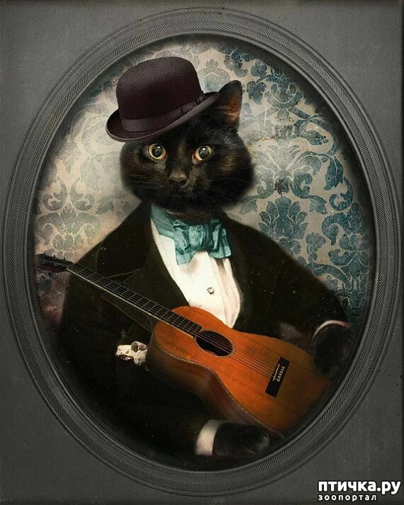 ���� 2: ������ �������. ������� ����� � ������. ���� ��������