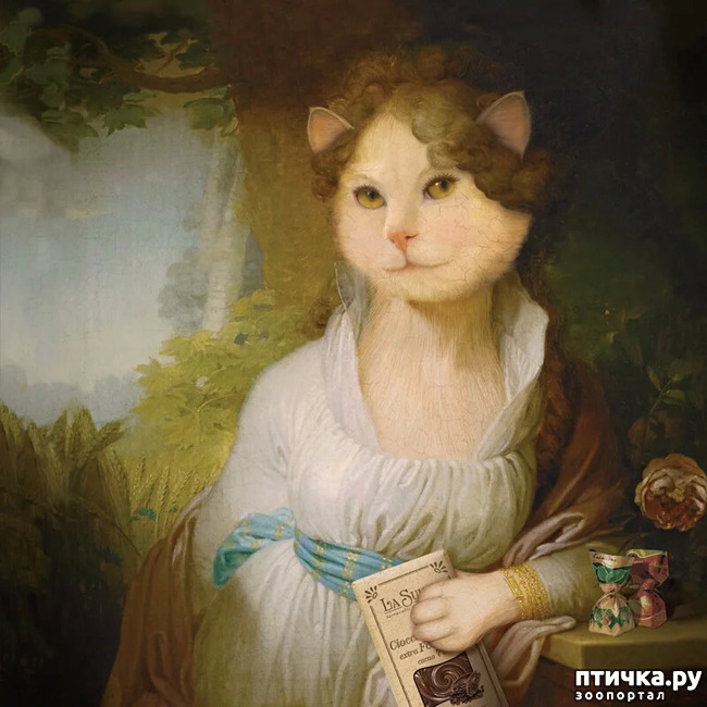 ���� 3: ������ �������. ������� ����� � ������. ���� ��������