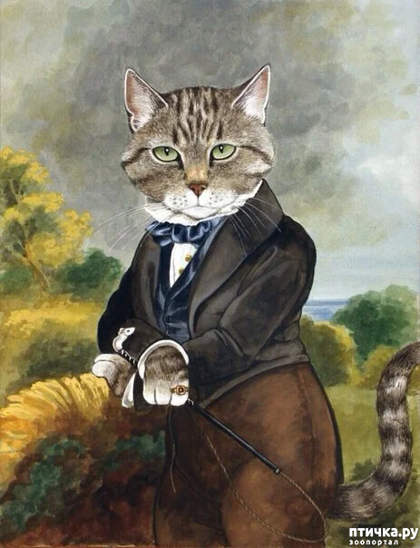 ���� 5: ������ �������. ������� ����� � ������. ���� ��������