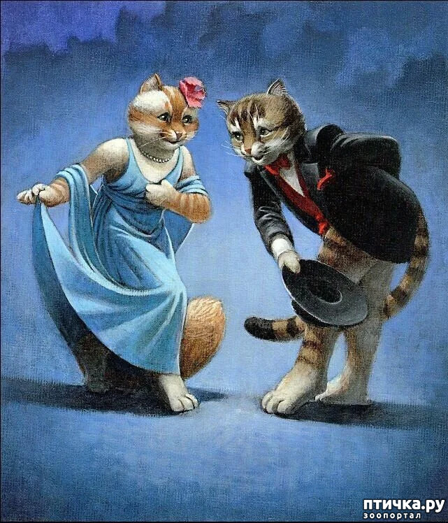 ���� 6: ������ �������. ������� ����� � ������. ���� ��������