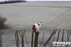 ����: ������� ����� ����