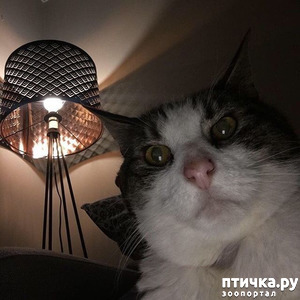 ����: ������� �����