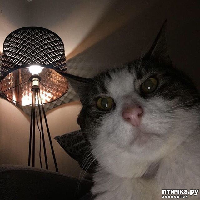 ���� 1: ������� �����