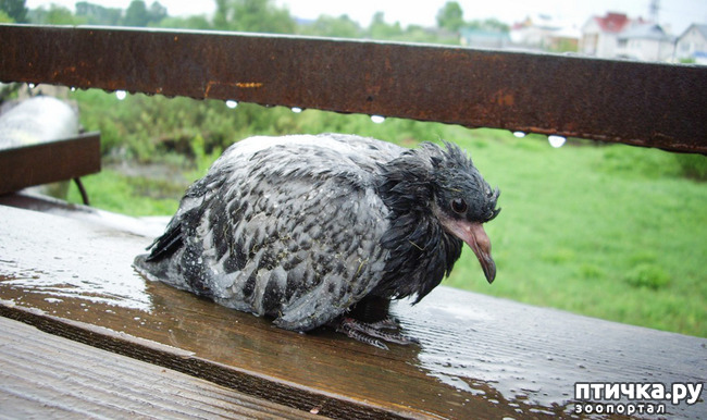 ���� 1: �������