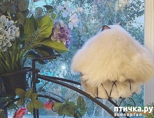 ����: �������ec��e p���e��� �o�e��� ���c���o�a�.