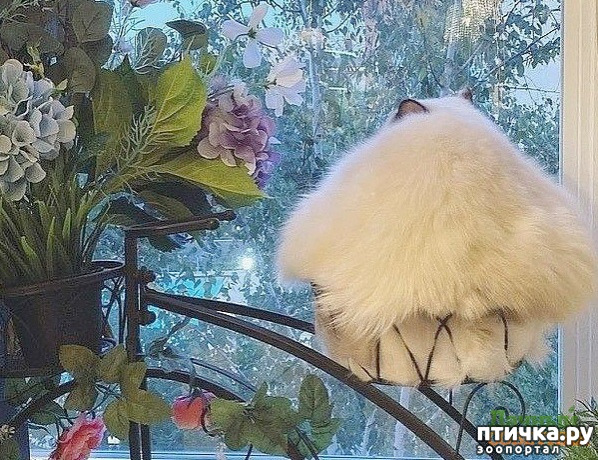 ���� 1: �������ec��e p���e��� �o�e��� ���c���o�a�.