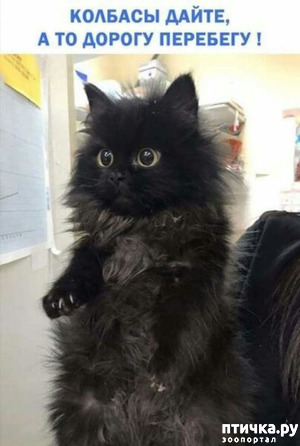 ����: ������� �����