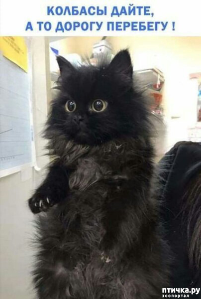 ���� 1: ������� �����