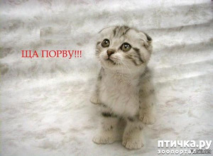 ����: ��� ��� ����?!