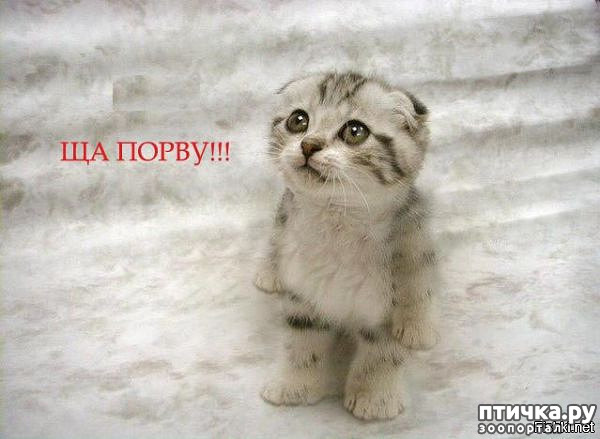 ���� 1: ��� ��� ����?!