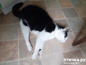 ����: ����... ���� ���� �� ������.